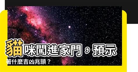 貓進家門|動物進家門有什麼樣的預示，這5種動物進門會好運不。